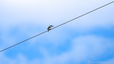ケアンズ周辺２日間写真撮影ツアー報告